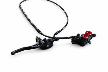 Rear Brake Assy for RFN Warrior SX-E8