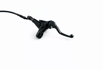 Rear Brake Assy for RFN Warrior SX-E8
