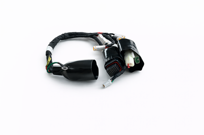 Wire Harness Assembly for RFN Warrior Pro SX-E15 & SX-l5 Plus